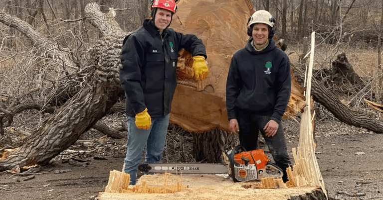 Tree Removal Service Near Me: Reliable Solutions for Safe and Efficient Tree Removal